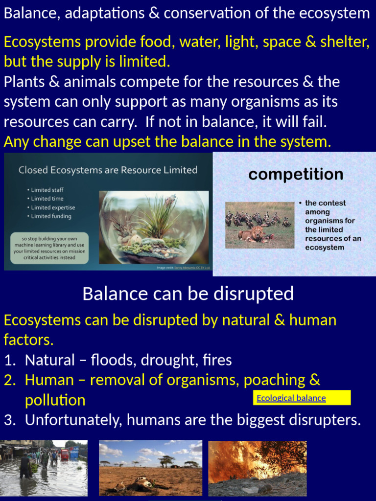 G 8 3 Balance Adaptations Conservation of Ecosystems Yq561a | PDF ...