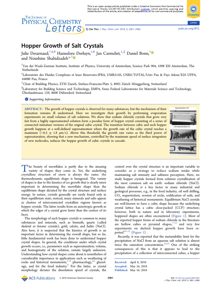 Hopper Growth of Salt Crystals | PDF | Nucleation | Crystallization