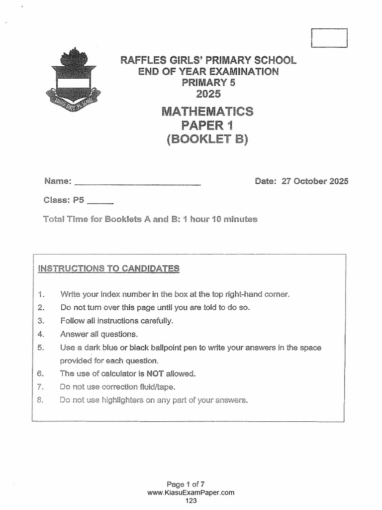 2025 P5 Math 11 | PDF