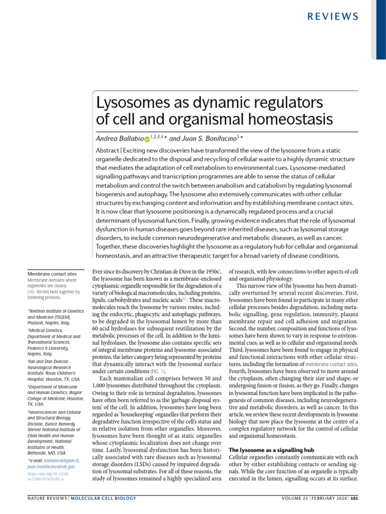The Lysosome As A Signalling Hub: Molecular Cell Biology | PDF ...