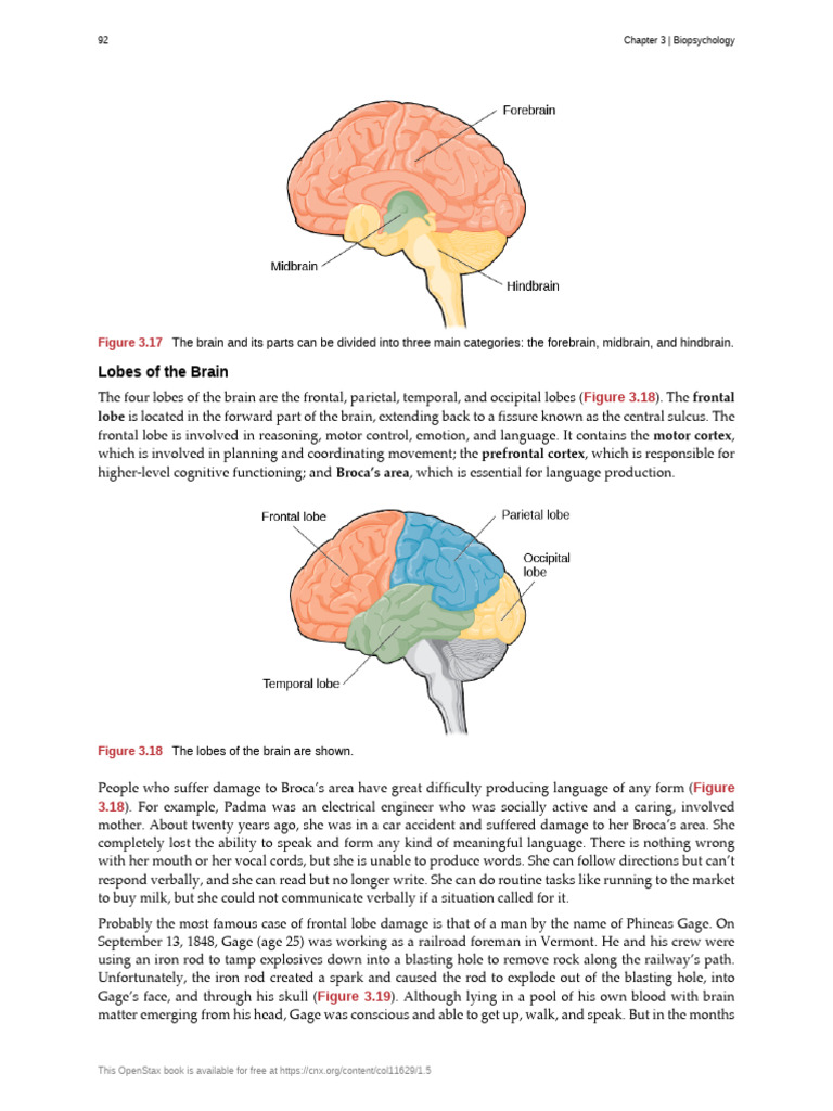 Psychology | PDF