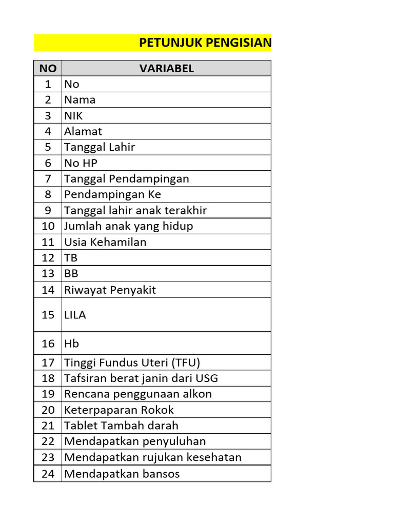 Format Laporan+Petunjuk Pengisian TPK 2024 | PDF