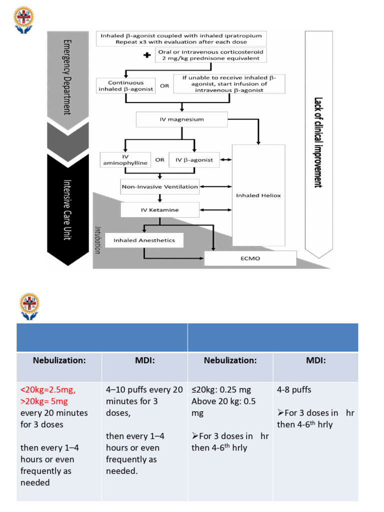 Asthma Algorithm | PDF