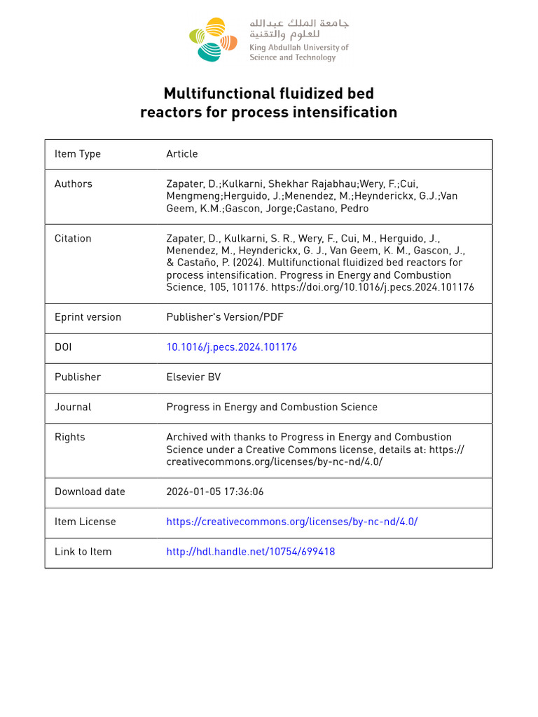 Multifunctional Fluidized Bed Reactors For Process Intensification ...