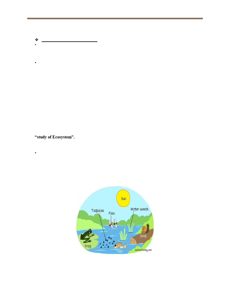 EVs Unit2 Module 2 | PDF | Ecosystem | Food Web