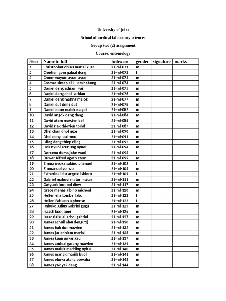 Group 2 Assignment Document | PDF