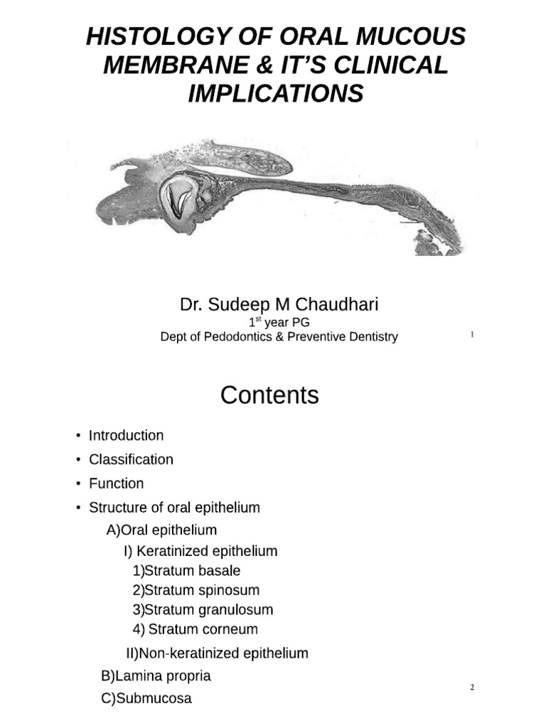 Oral Mucous Membrane | PDF