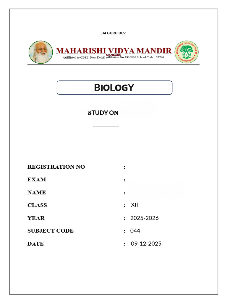 My Document | PDF