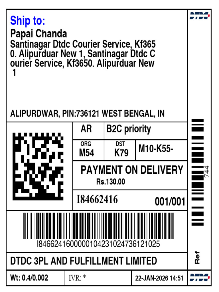 I84662416 DTDC Label | PDF