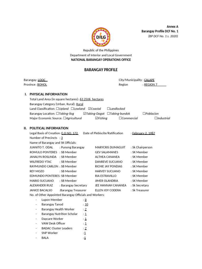 DILG Barangay Profile Format | PDF