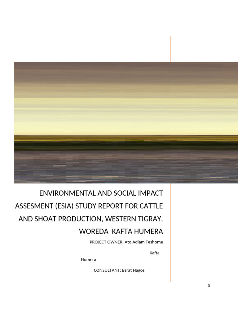 Adiam Eia | PDF | Environmental Impact Assessment | Environmental ...