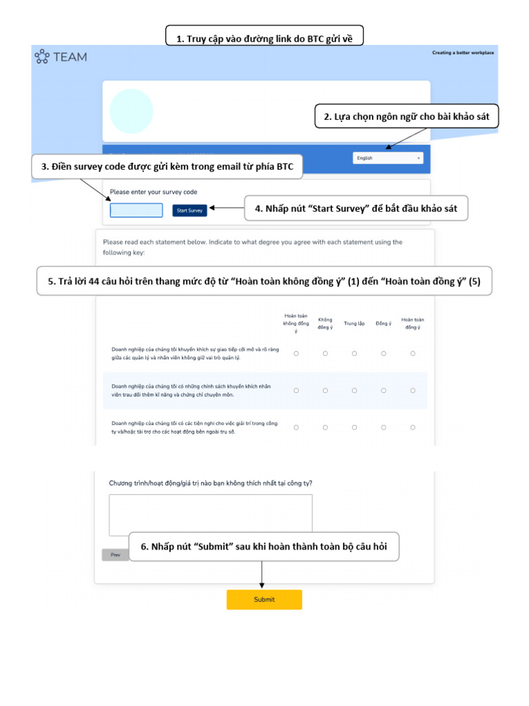 Survey Guideline Vi | PDF