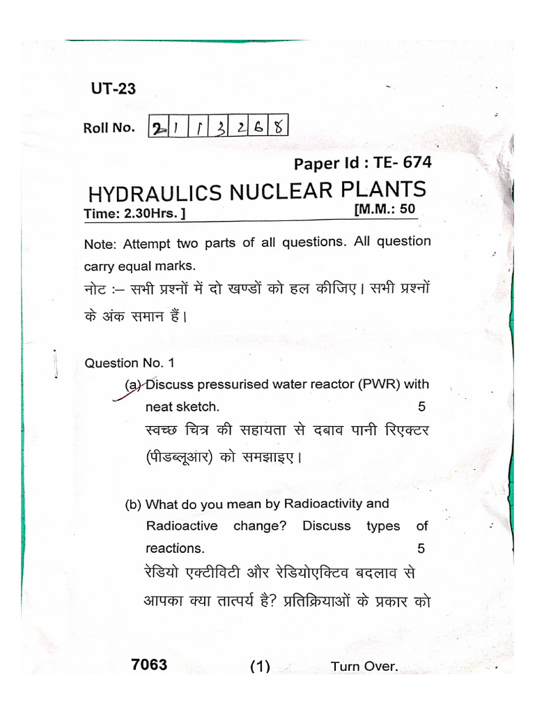 NHP Paper | PDF
