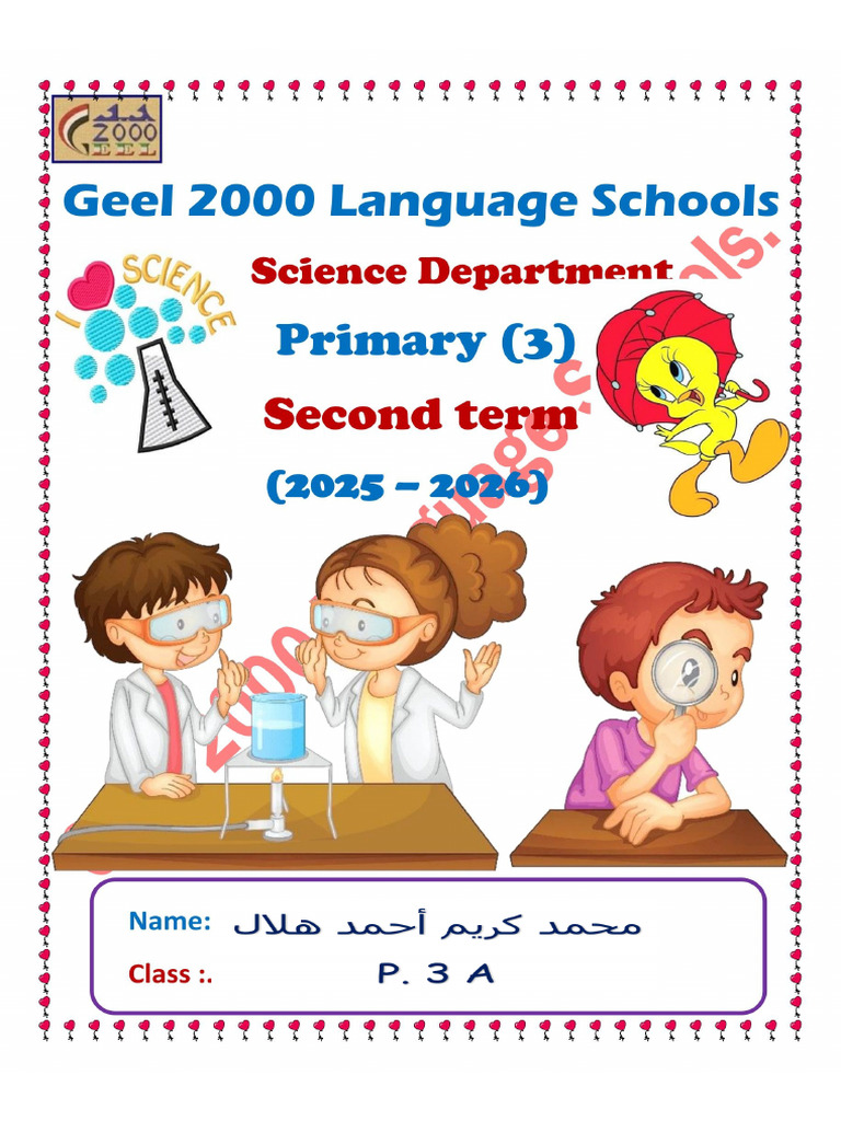 Primary 3 Second Term | PDF