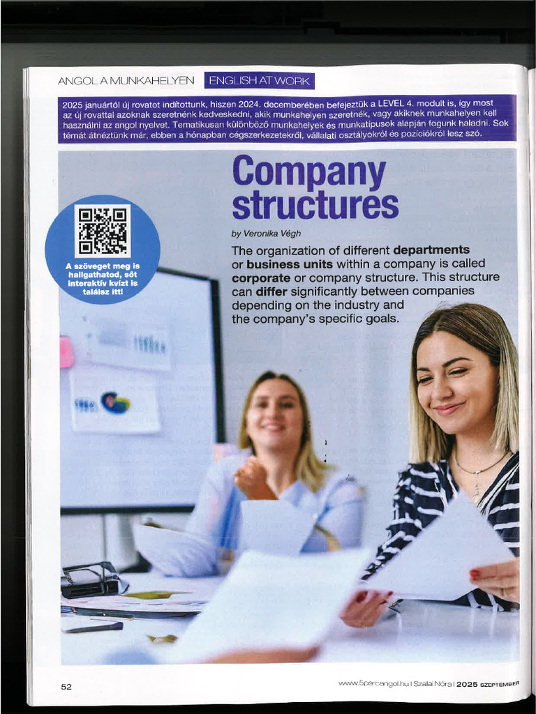 Company Structures | PDF