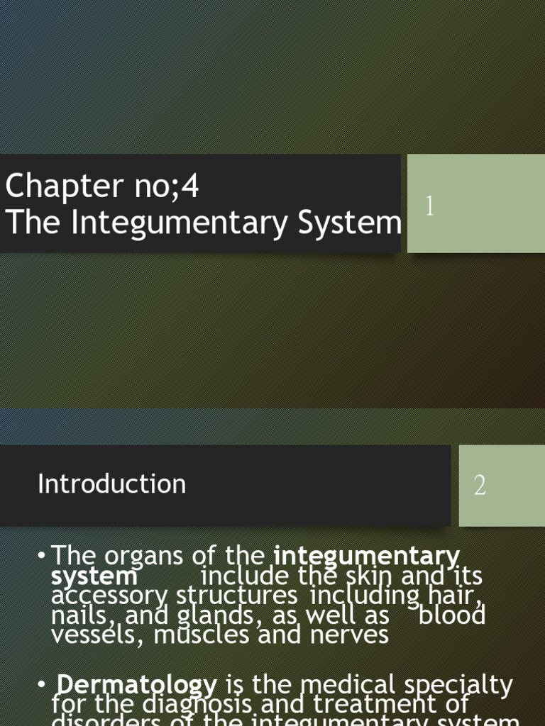 Chapter 4 Integumentary System Power Point | PDF | Skin | Integumentary ...