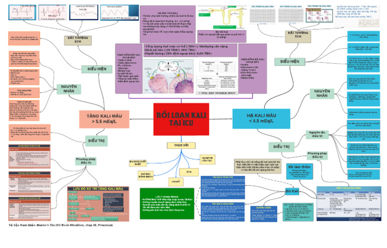 Concept Map-Nhóm A2 - Rối Loạn Kali Tại ICU | PDF