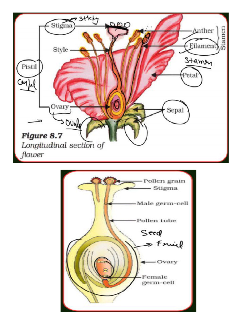 Untitled 1 | PDF