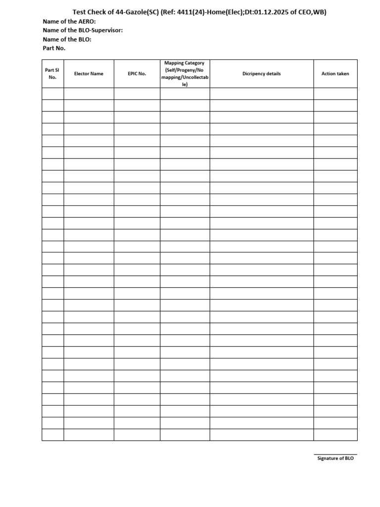 Test Check Format | PDF