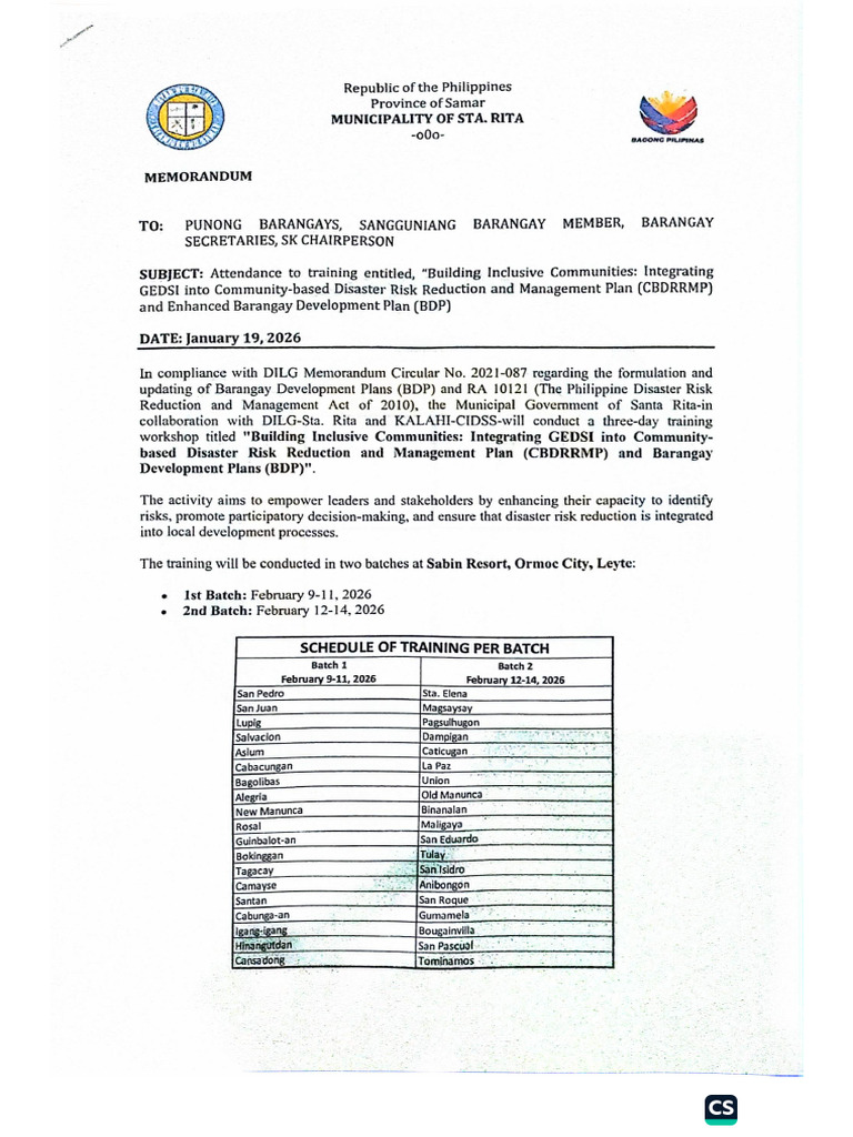 CBDRRMP and BDP Formulation | PDF