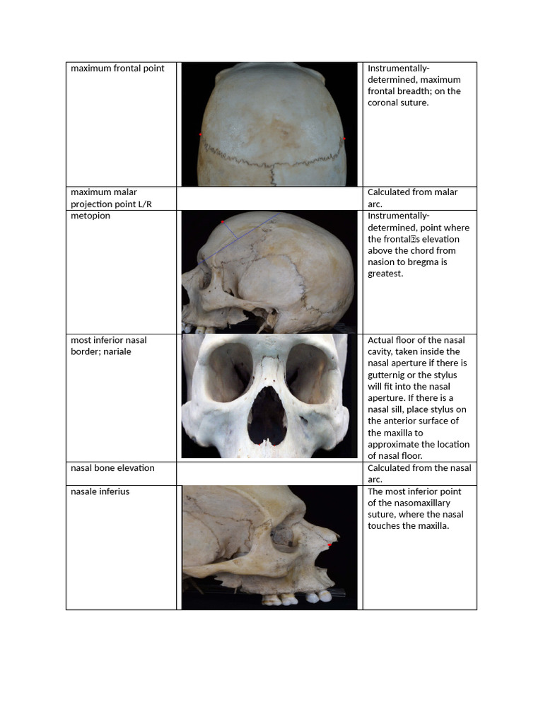 ana 121 skull 2 | PDF | Human Anatomy | Human Head And Neck