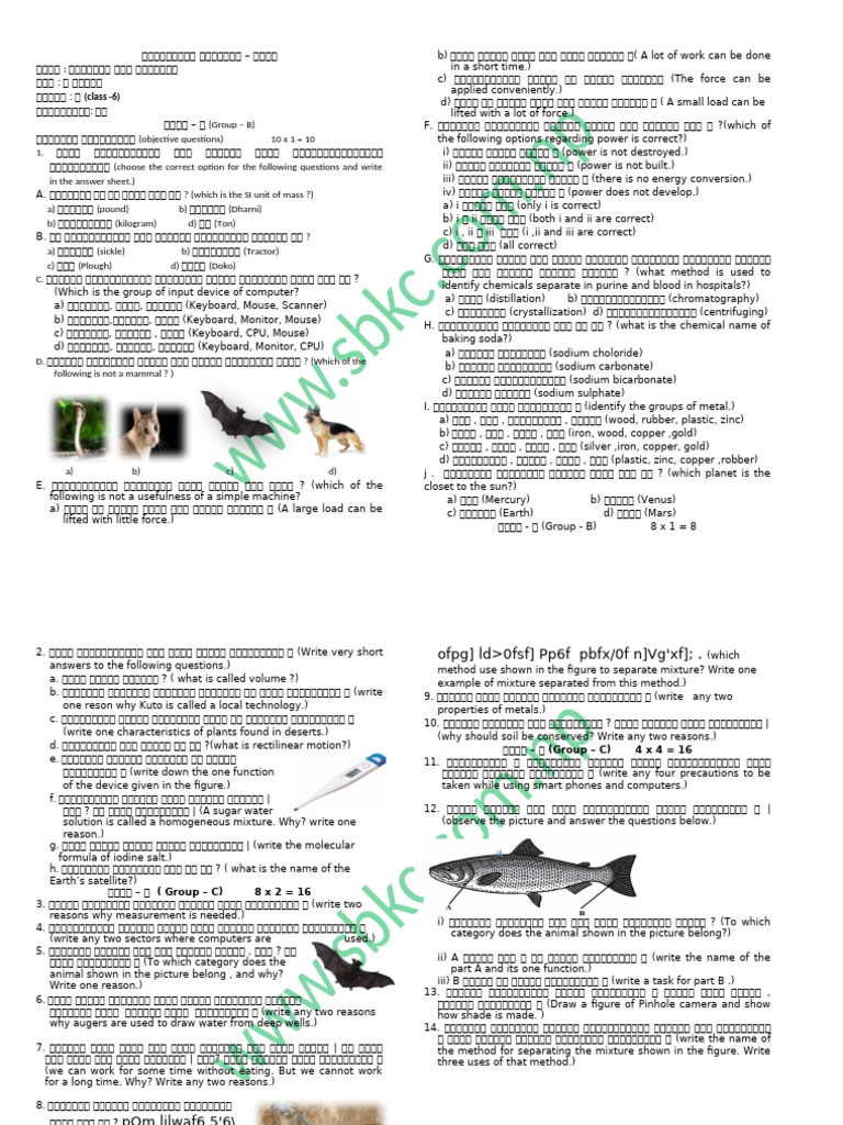 Model Set Class 6 Science | PDF