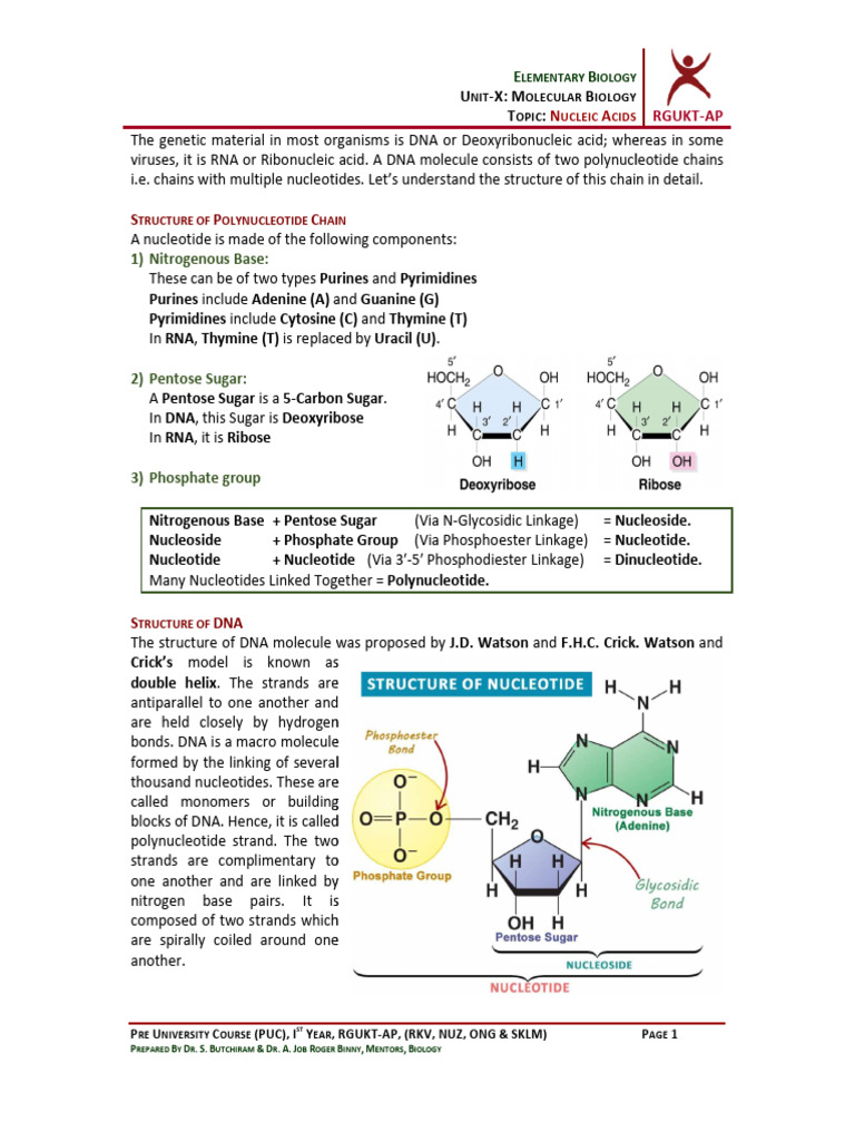 Unit-X Molecular Biology | PDF | Rna | Translation (Biology)