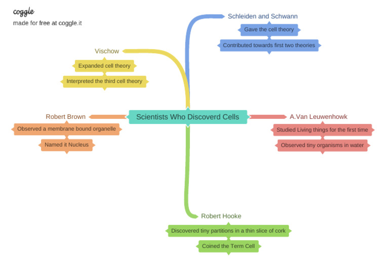 Scientists Who Discoverd Cells | PDF