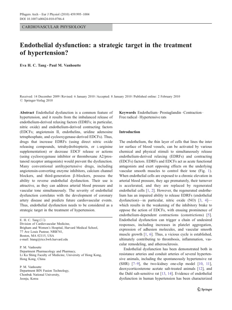 Endothelial Dysfunction. A Strategic Target in The Treatment | PDF ...