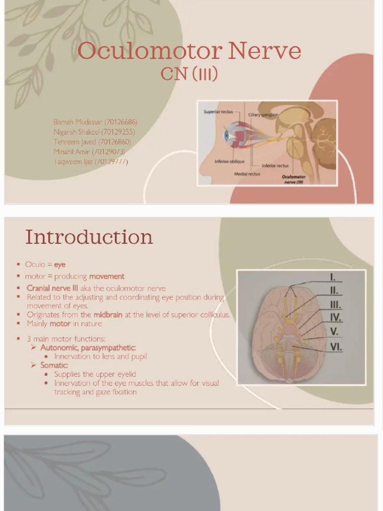 Untitled Design - 20260205 - 174433 - 0000 | PDF