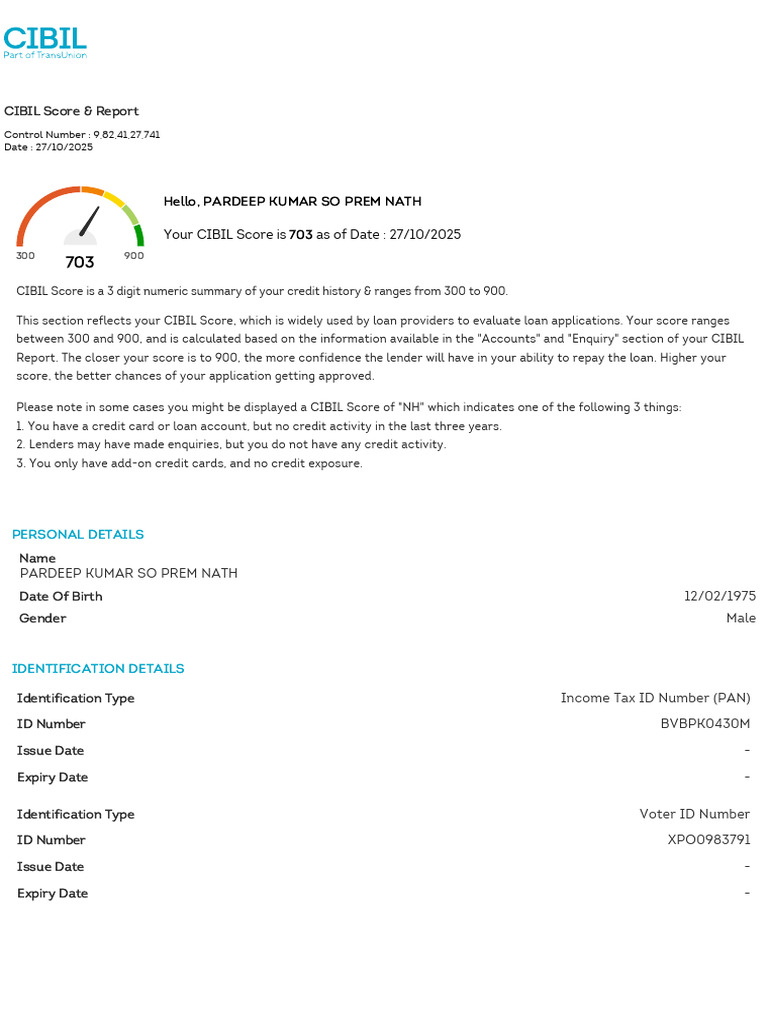 Cibil Report | PDF | Credit | Finance & Money Management