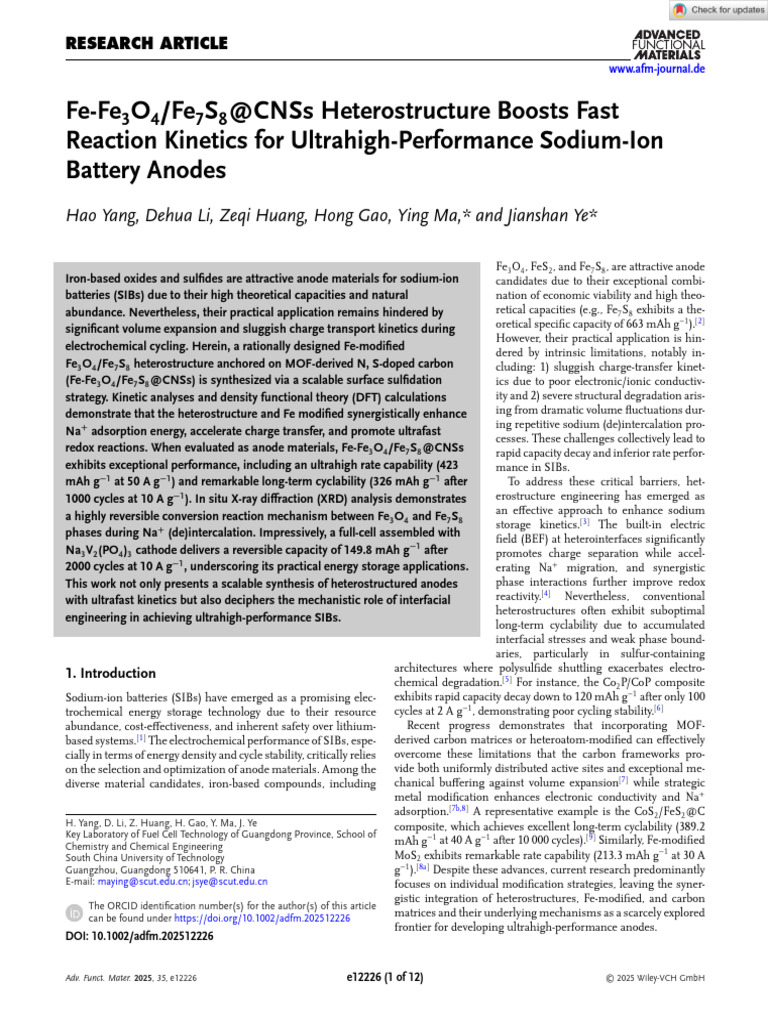 Adv Funct Materials - 2025 - Yang - Fe Fe3O4 Fe7S8 CNSs Heterostructure ...