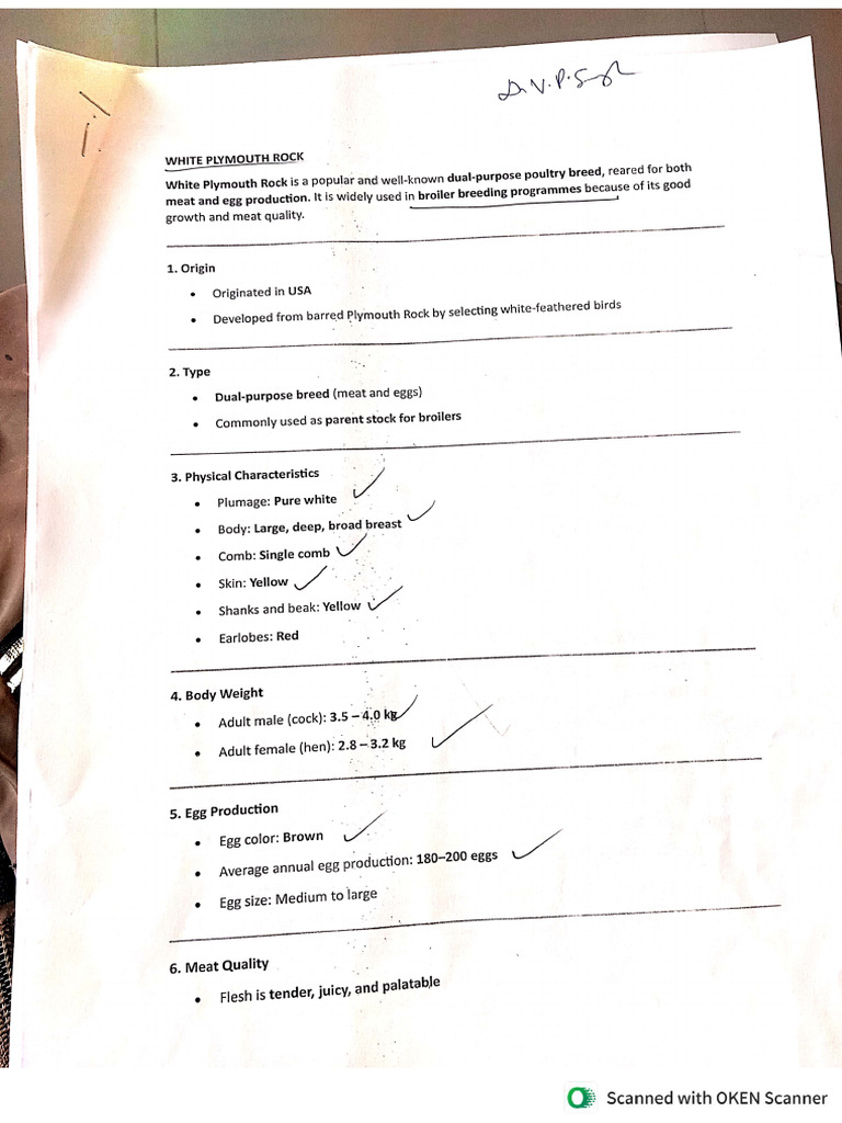 Sec Notes 2 | PDF