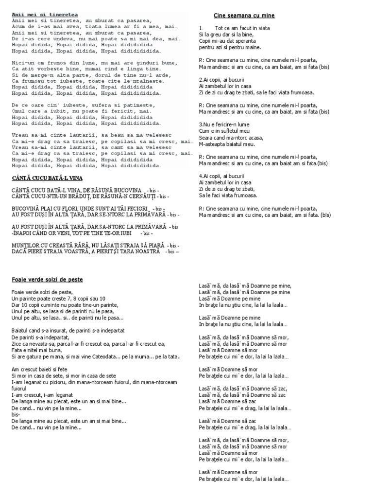 Versuri | PDF