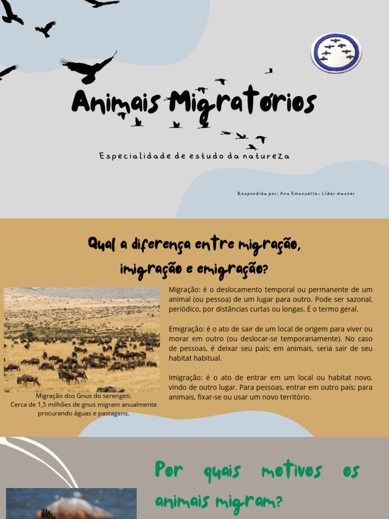 Especialidade de Animais Migratorios | PDF | Migração de pássaros | Aves