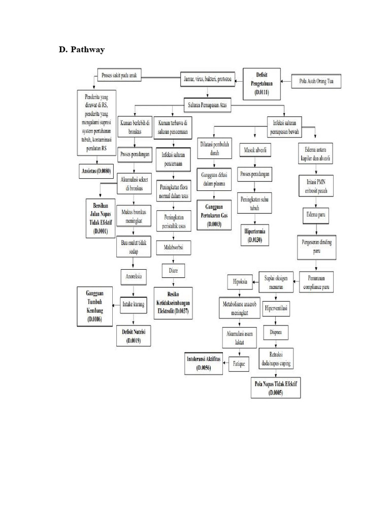 Pathway Wan | PDF