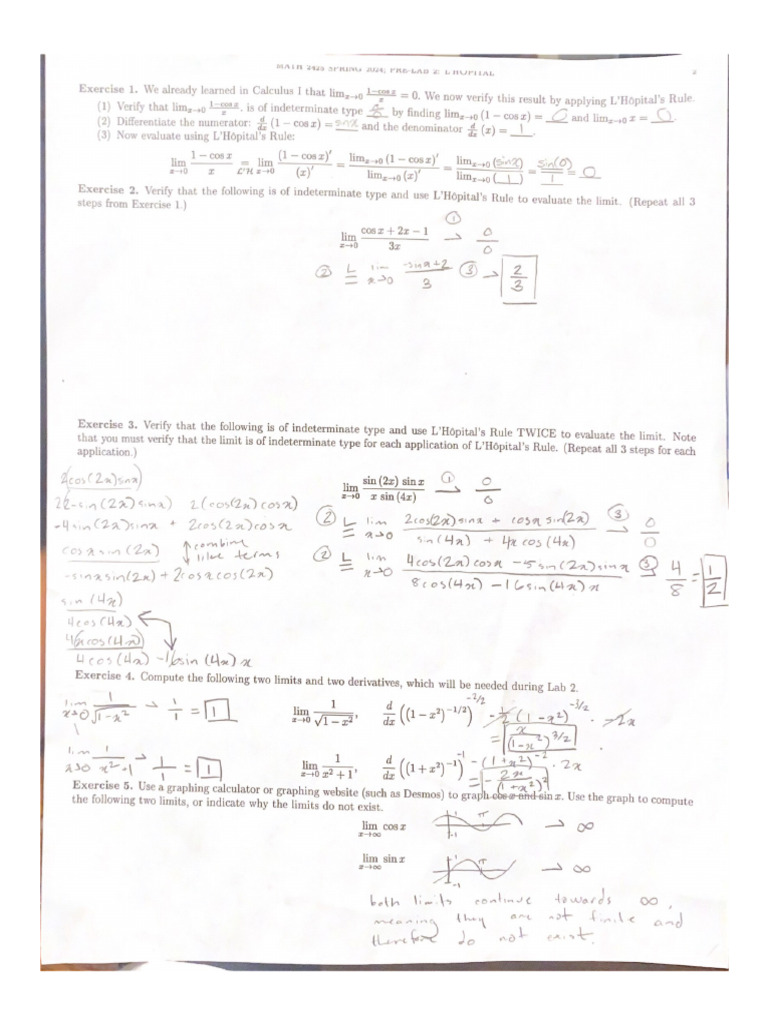 Calc 2 Prelab 2 | PDF