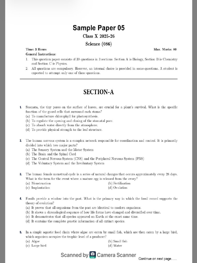 Sample Paper 5 | PDF