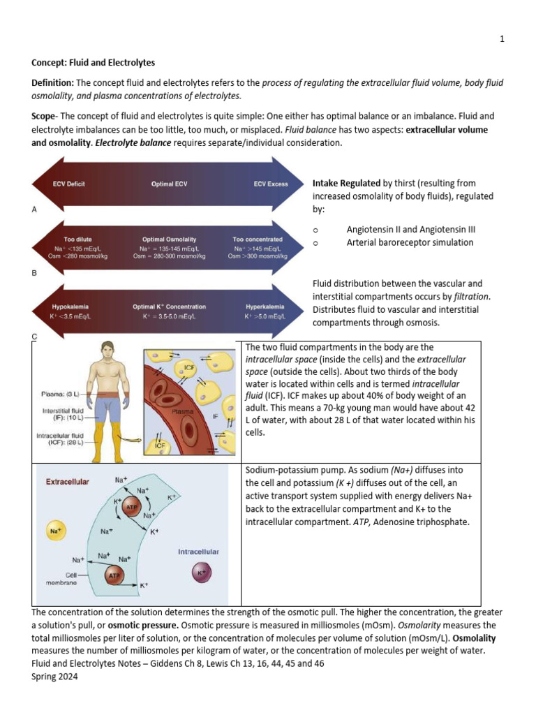 NSG 252 Fluid and Electrolyte | PDF | Kidney | Angiotensin