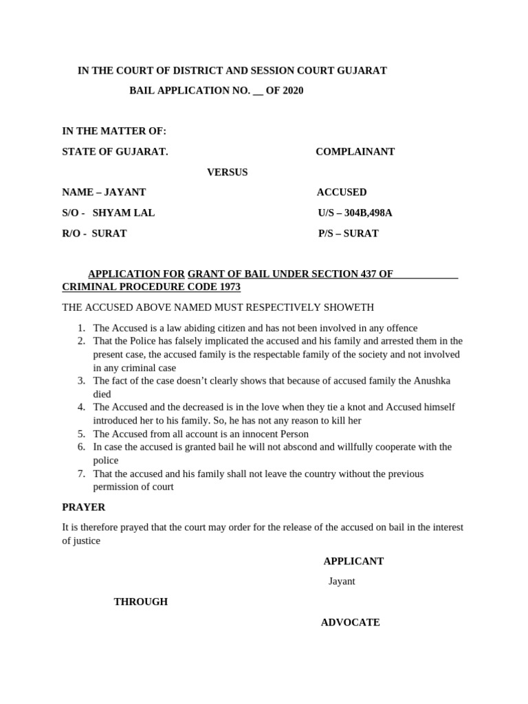 BAIL Application | PDF