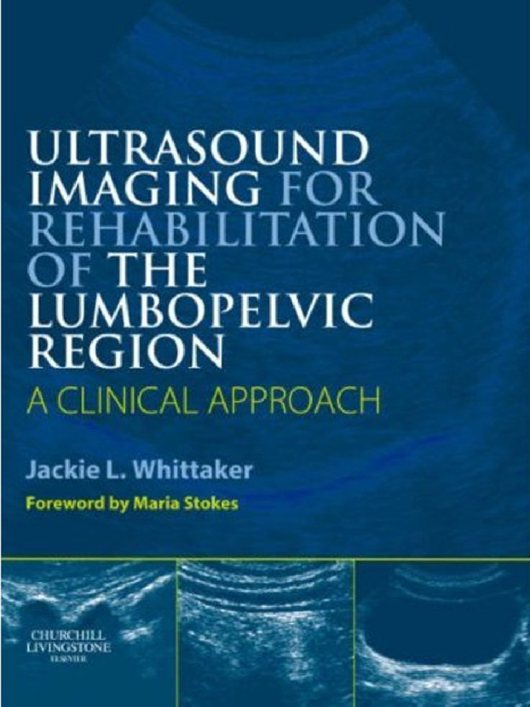 Ultrasound Imaging For Rehabilitation of The Lumbopelvic | PDF | Hertz ...