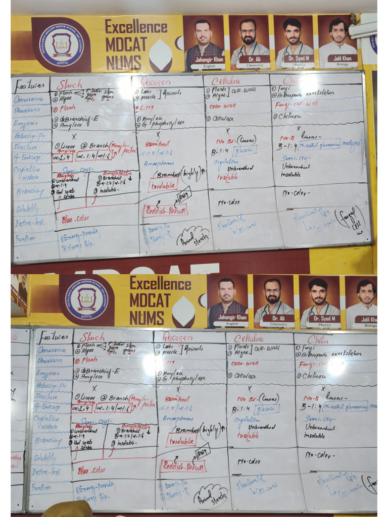 Excellence Academy Board Notes | PDF