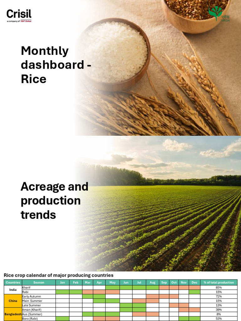 MIC July Monthly Dashboard Rice | PDF | Rice | Crop Yield
