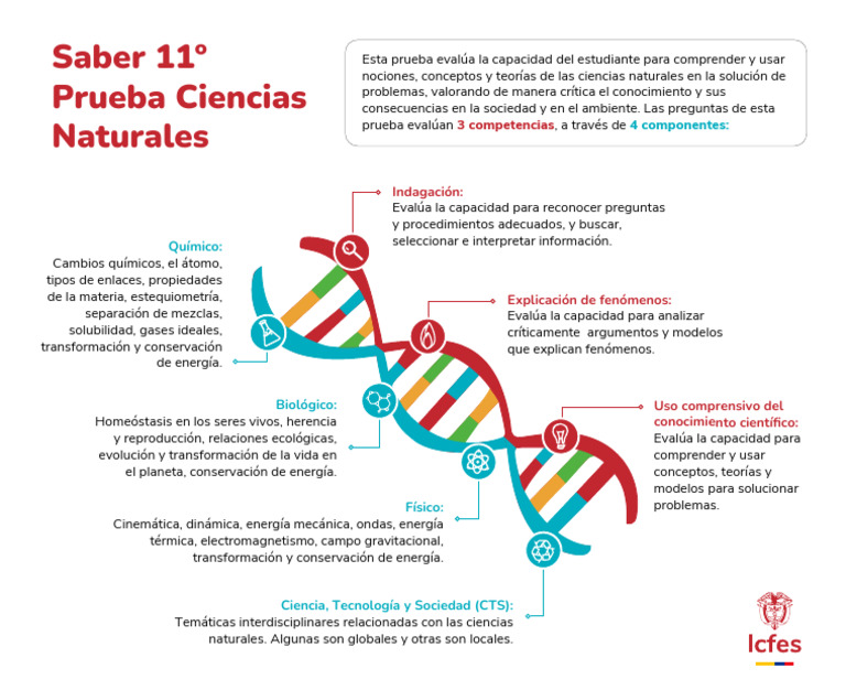 17 Septiembre Infografia Prueba Ciencias Naturales Saber 11 | PDF ...