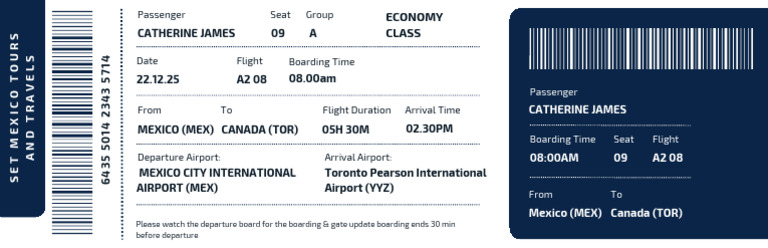 Flight Ticket (6) | PDF