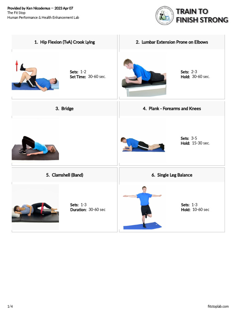 Core2 | PDF | Anatomical Terms Of Motion | Elbow