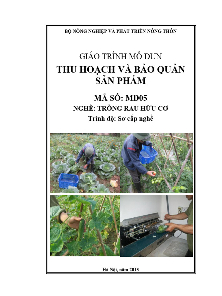 Giáo Trình Thu Hoạch Và Bảo Quản Sản Phẩm - MĐ05 - Trồng Rau Hữu Cơ | PDF