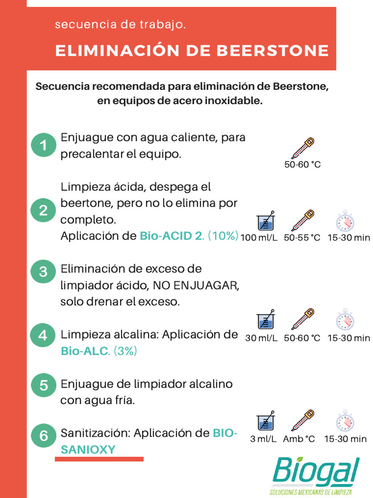 Eliminación de Beerstone | PDF