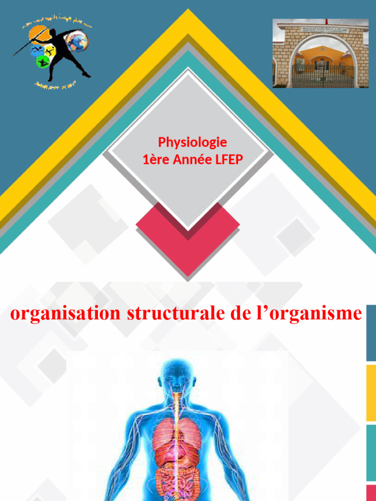 Organisation Structurale de L'organisme | PDF | Métabolisme | Cellule ...