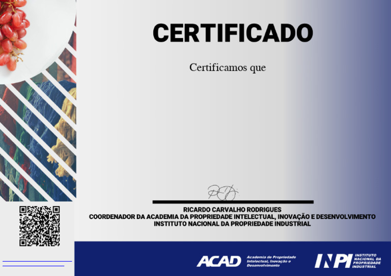 Certificado INPI Indicação Geografica e Marcas Coletivas | PDF